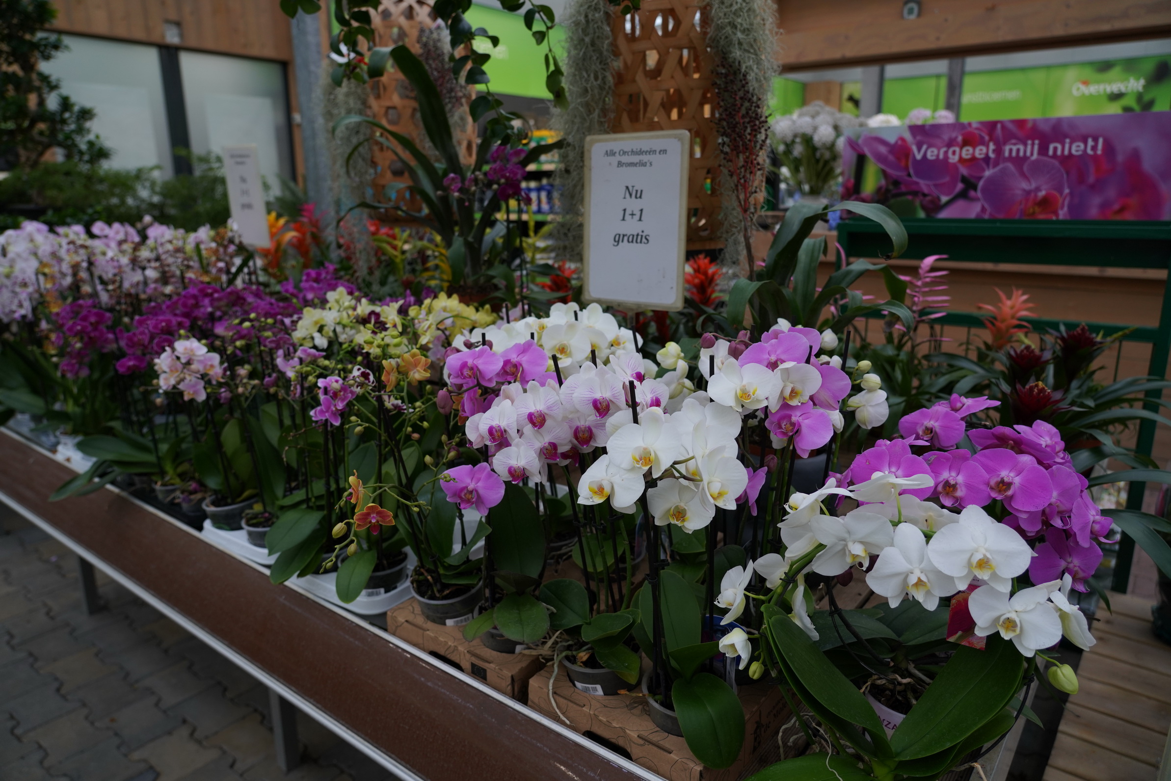รายงานการเดินทางไปราชการ ณ ราชอาณาจักรเนเธอร์แลนด์ ระหว่างวันที่ 23 - 30 มกราคม 2565 โครงการออกแบบและก่อสร้างอาคารจัดแสดงสินค้าประเทศไทย ณ งานพืชสวนโลก เมืองอัลเมอร์