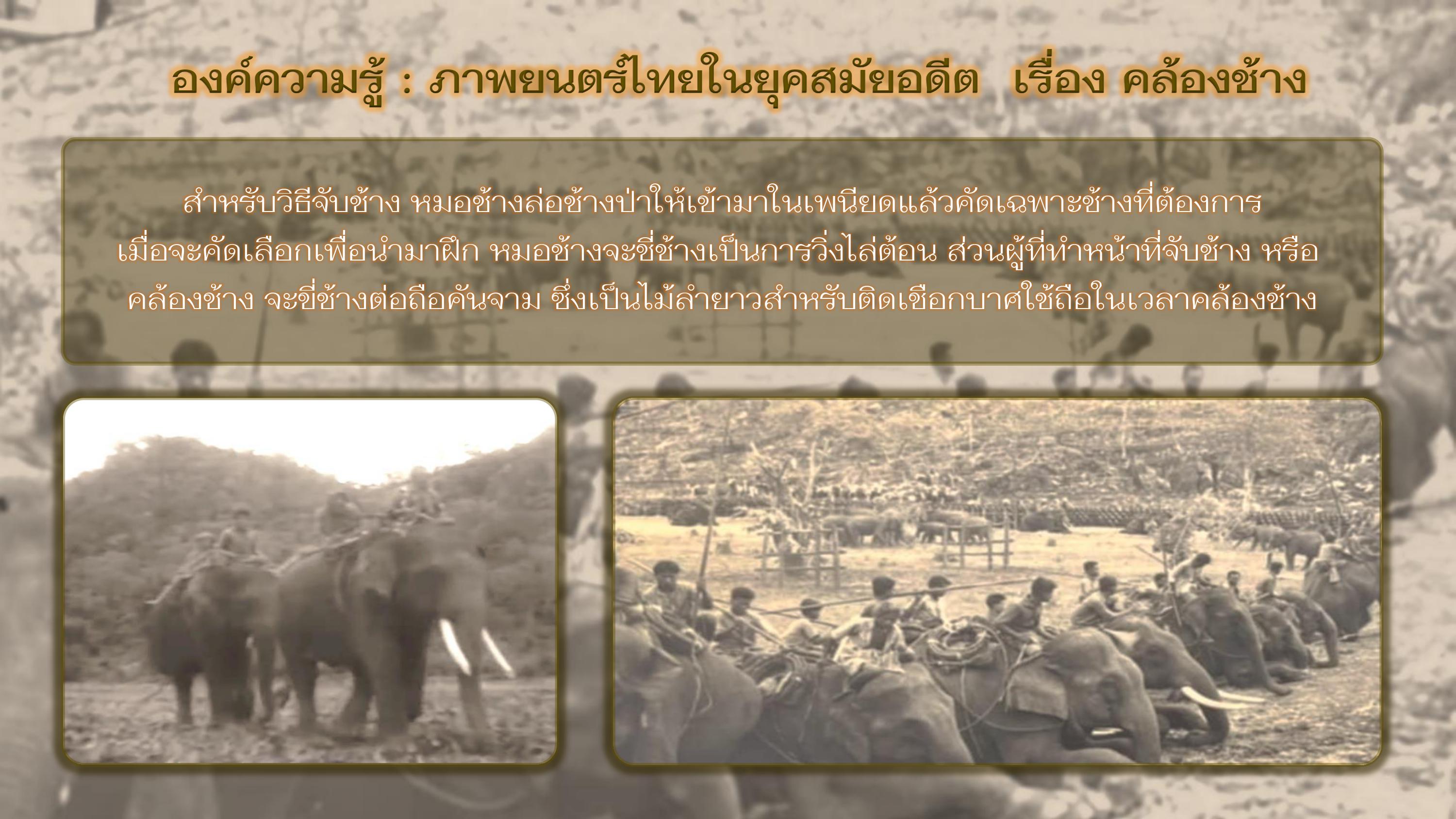 องค์ความรู้ : ภาพยนตร์ไทยในยุคสมัยอดีต  เรื่อง คล้องช้าง