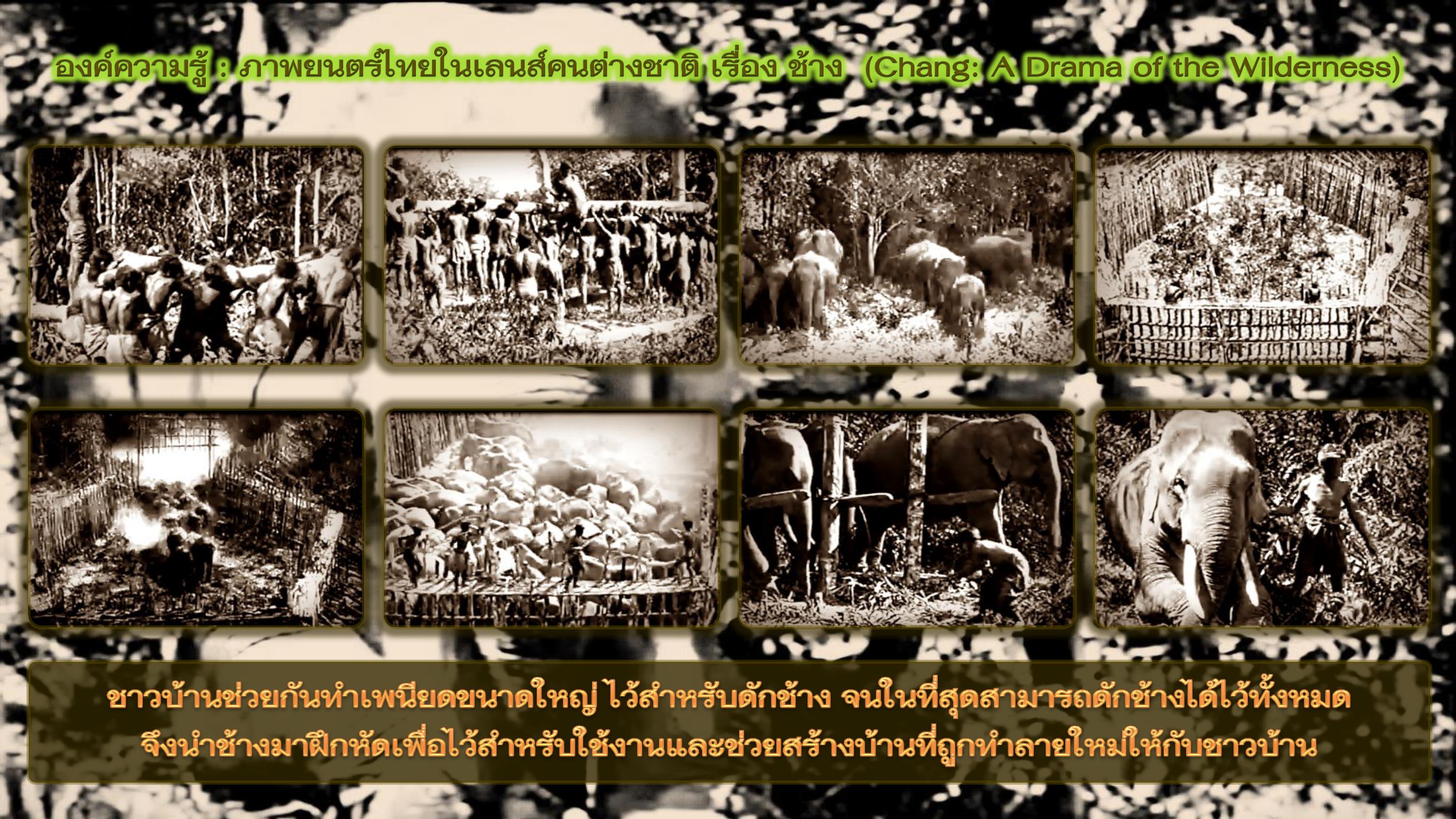 องค์ความรู้ : ภาพยนตร์ไทยในเลนส์คนต่างชาติ เรื่อง ช้าง (Chang: A Drama of the Wilderness)