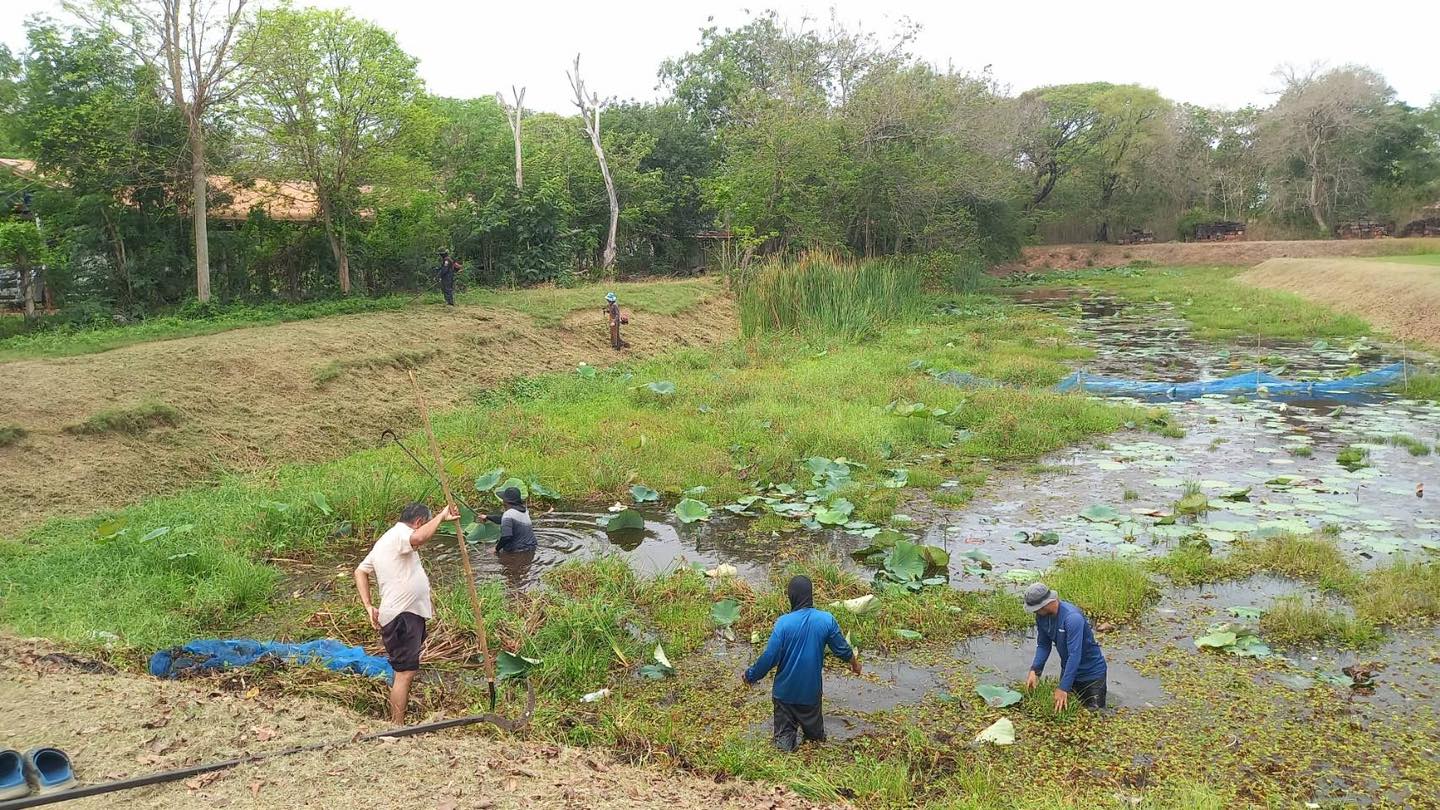 ภาพประกอบ :ถากถางกำจัดวัชพืชในเขตพื้นที่ปราสาทเปือยน้อย บ้านหัวขัว ตำบลเปือยน้อย อำเภอเปือยน้อย จังหวัดขอนแก่น