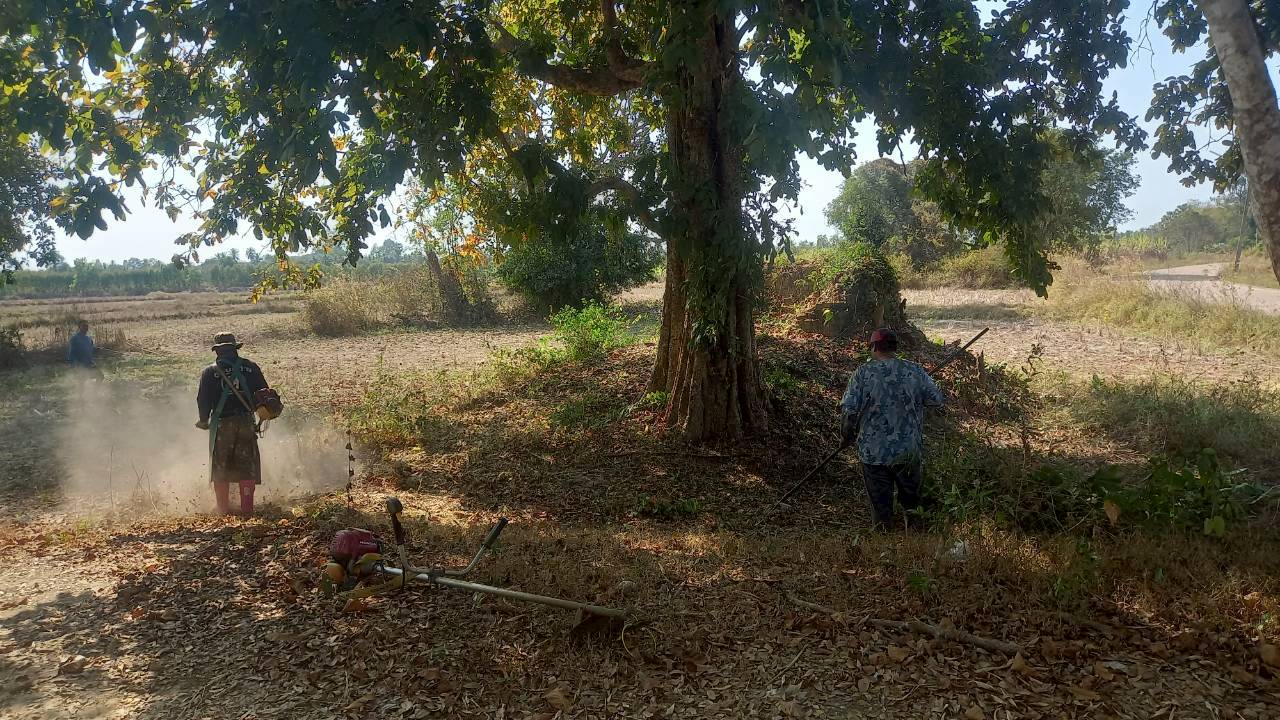 ภาพประกอบ ข่าวประชาสัมพันธ์