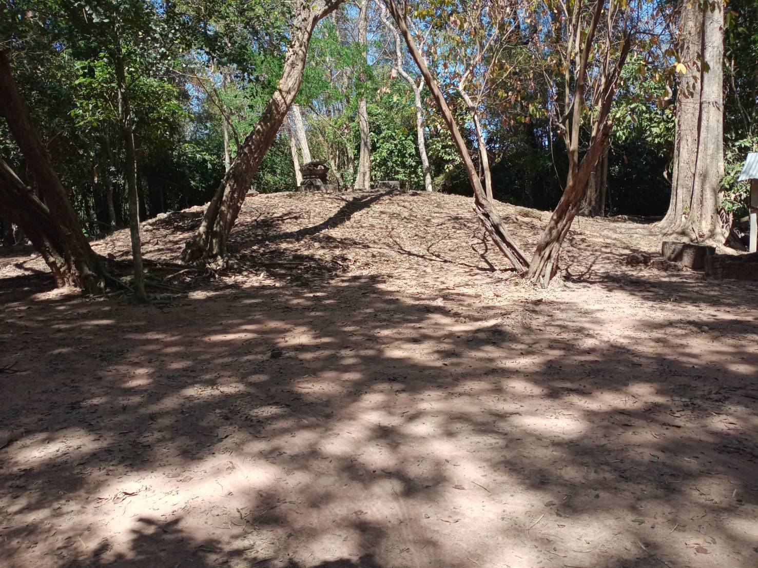 ภาพประกอบ :เจ้าหน้าที่สำนักศิลปากรที่ 10 นครราชสีมา ลงพื้นที่ดำเนินงานถากถางกำจัดวัชพืช ทำความสะอาดบริเวณโดยรอบโบราณสถานปราสาทหนองยายพิมพ์ ตำบลหนองปล่อง อำเภอชำนิ จังหวัดบุรีรัมย์ (การดำเนินงานระหว่างวันที่ 28 กุมภาพันธ์ - 1 มีนาคม 2569)