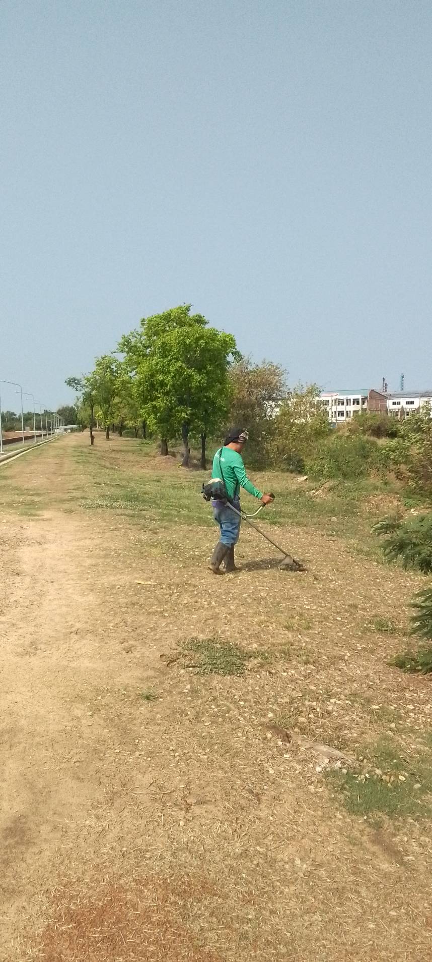ภาพประกอบ :การดำเนินงานถากถางกำจัดวัชพืชทำความสะอาดและดูแลความเรียบร้อยพื้นที่โดยรอบโบราณสถานคูเมือง-กำแพงเมืองพุทไธสง ตำบลพุทไธสง อำเภอพุทไธสง จังหวัดบุรีรัมย์ ในวันศุกร์ที่ 6 มีนาคม 2569