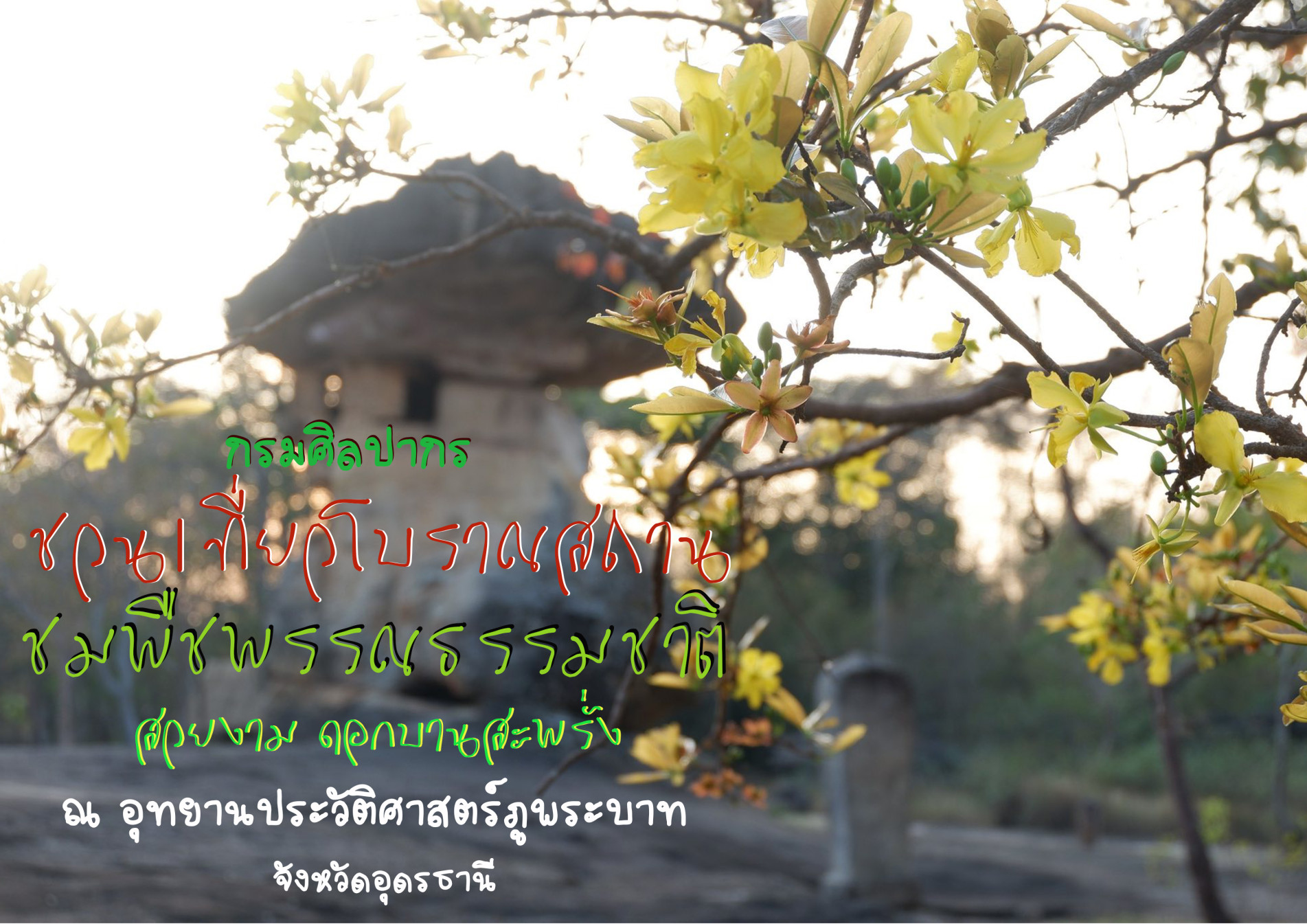 ภาพประกอบ :ชวนไปเยือนอุทยานประวัติศาสตร์ภูพระบาท ชมโบราณสถานและพืชพรรณธรรมชาติที่สวยงาม