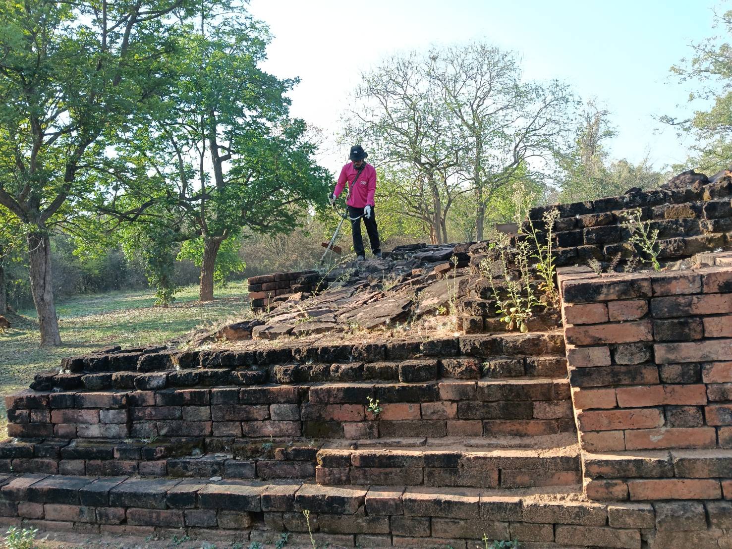ภาพประกอบ :การดำเนินงานถากถางกำจัดวัชพืชทำความสะอาดและดูแลความเรียบร้อยพื้นที่โดยรอบโบราณสถานเมืองเสมา ตำบลเสมา อำเภอสูงเนิน จังหวัดนครราชสีมา ในวันพุธที่ 4 มีนาคม 2569