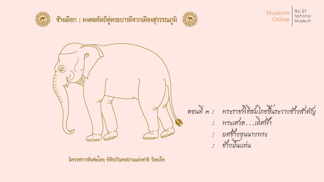 ภาพประกอบ :ช้างเผือกมงคลหัตถีคู่พระบารมีจากเมืองสุวรรณภูมิ
