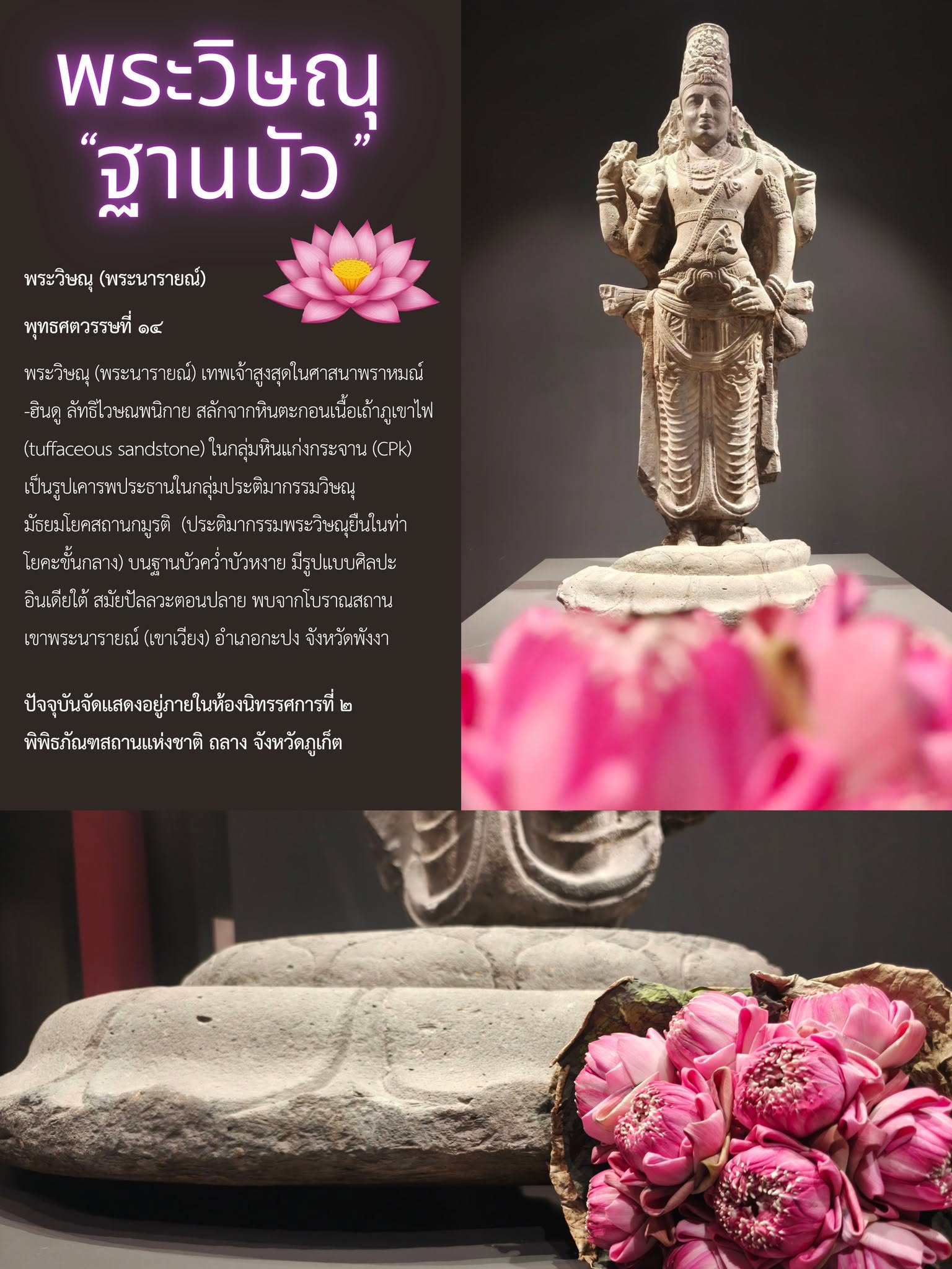 ภาพประกอบ :ดอกบัว “ปัทมา” (पद्म)