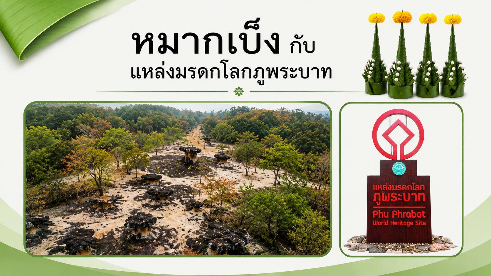 ภาพประกอบ :หมากเบ็งกับมรดกโลกภูพระบาท