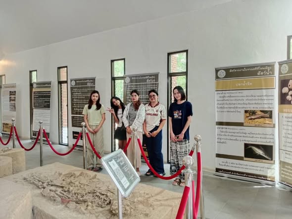 ภาพประกอบ ข่าวประชาสัมพันธ์