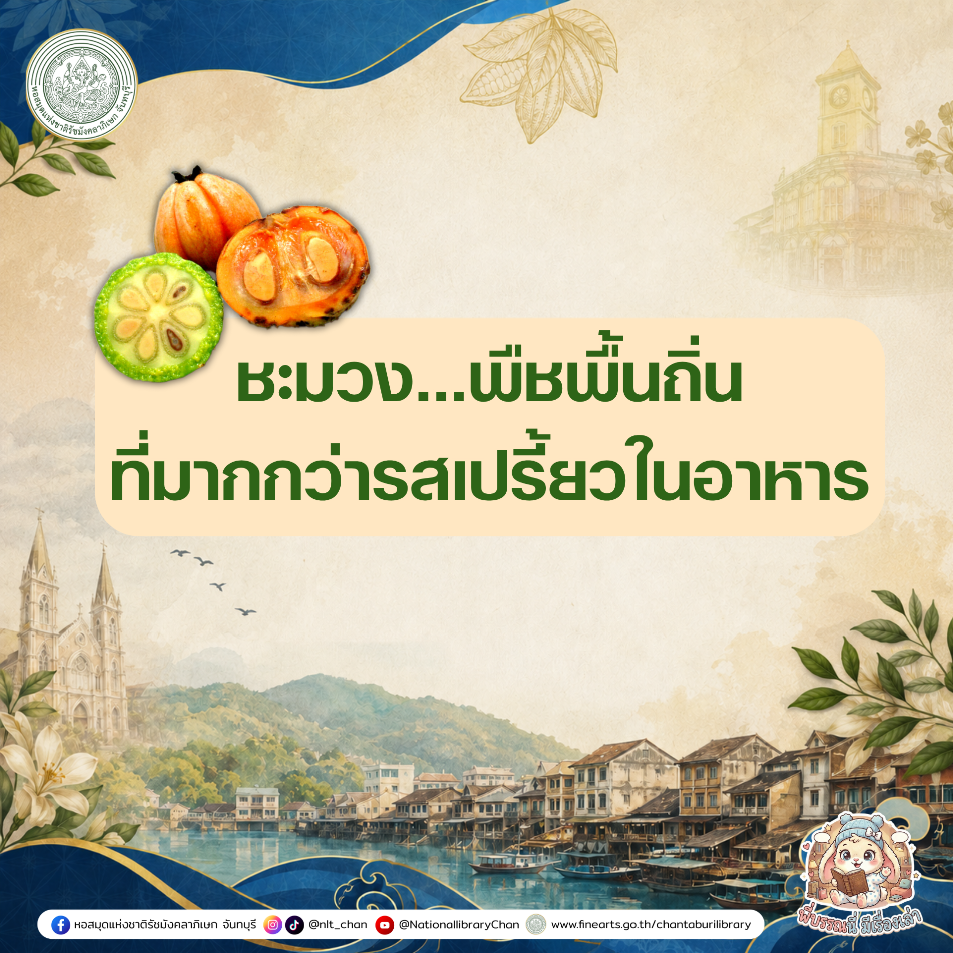 ภาพประกอบ :องค์ความรู้ส่งเสริมการอ่าน เรื่อง ชะมวง...พืชพื้นถิ่นที่มากกว่ารสเปรี้ยวในอาหาร