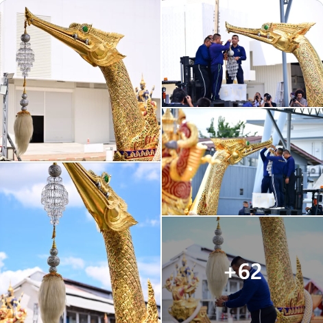 ภาพประกอบ ข่าวประชาสัมพันธ์